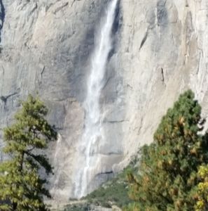 Meet your Posher, Craig